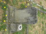 image of grave number 737556